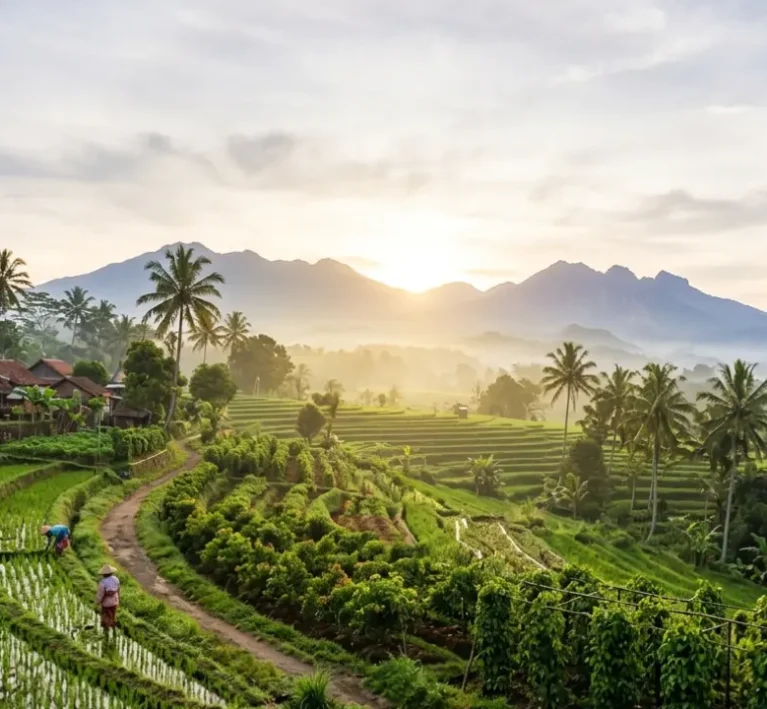 Global Agribusiness Supply: Understanding Market Opportunities