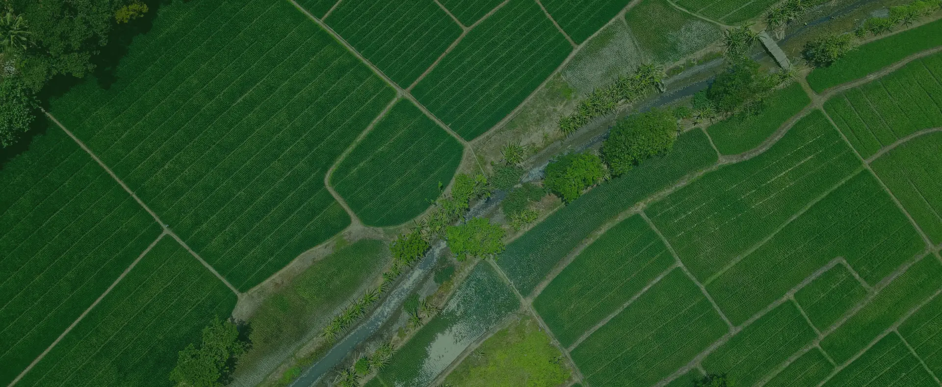 Shefa Agrikultur Sejahtera