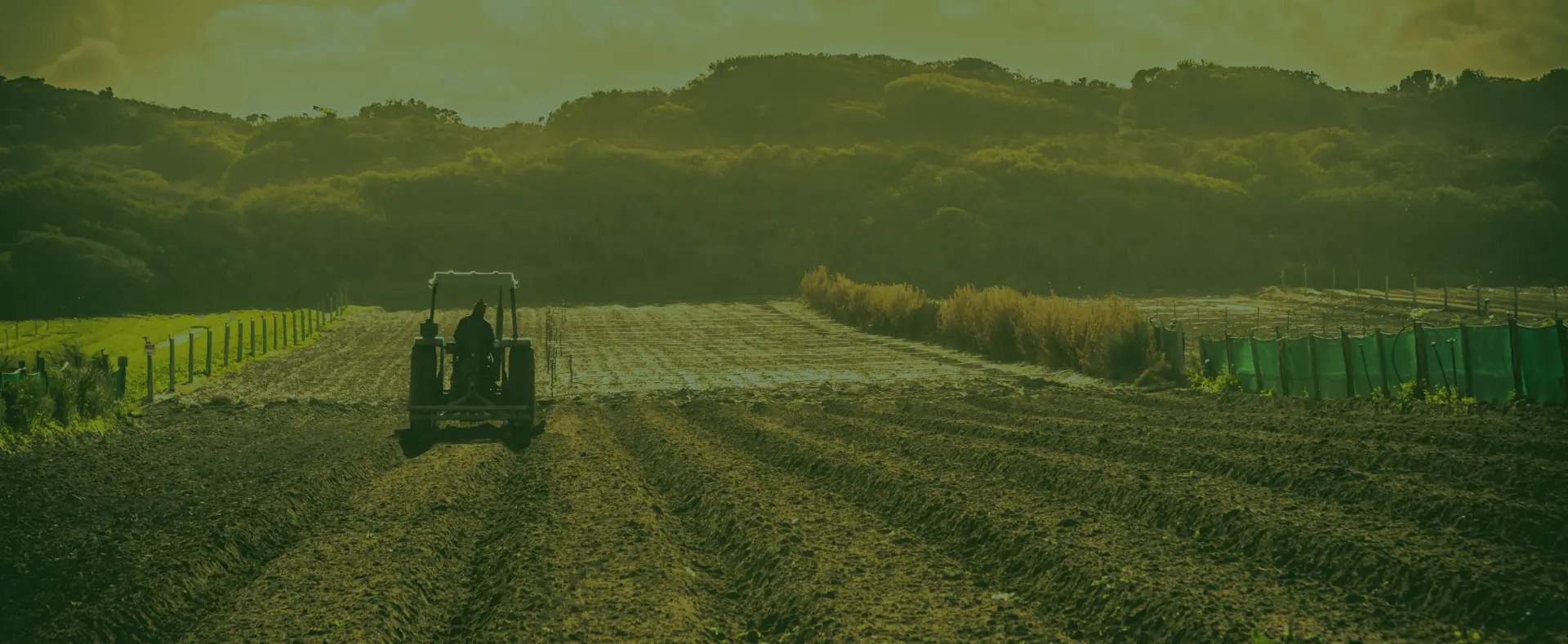 Shefa Agrikultur Sejahtera